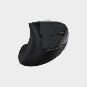 Havit MS550GT Vertical Wireless Mouse