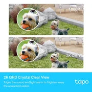 Tapo C420S2 Smart Wire-Free Security Camera System, 2-Camera System - Image 3